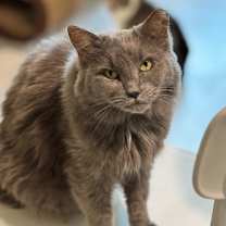 Thumbnail photo of Bonnie #1