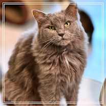 Thumbnail photo of Bonnie #2