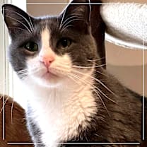 Thumbnail photo of Clyde #3