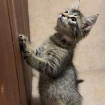 Thumbnail photo of Jane #1