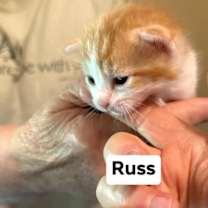 Thumbnail photo of Russ #3