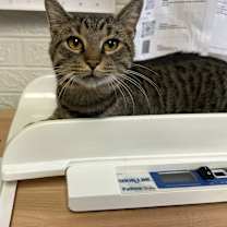 Thumbnail photo of TJ #2