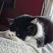 Thumbnail photo of Valerie #1