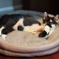 Thumbnail photo of Erin #2