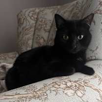 Thumbnail photo of Maggie #3