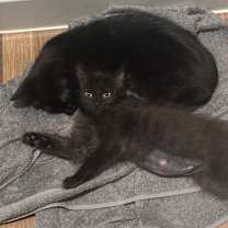 Thumbnail photo of April #3