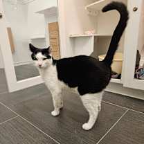 Thumbnail photo of Yogurt #2