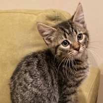 Thumbnail photo of Julian  (FSG) #1