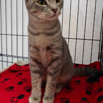 Thumbnail photo of Champagne #4