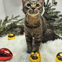 Thumbnail photo of MISS KAY #1