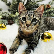 Thumbnail photo of MISS KAY #2