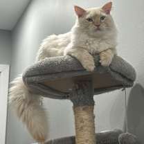 Thumbnail photo of Danger #1