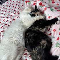 Thumbnail photo of Danger #2