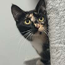 Thumbnail photo of Danger #3