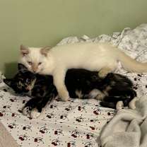 Thumbnail photo of Danger #4