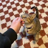 Thumbnail photo of Carol #4