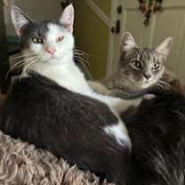 Thumbnail photo of Carrie #3