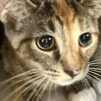 Thumbnail photo of Tara #2