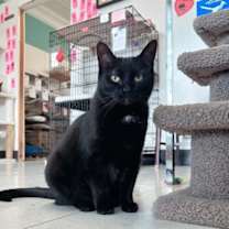 Thumbnail photo of Mama Beth #2