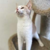 Thumbnail photo of 4 (Kooky Kid) #1