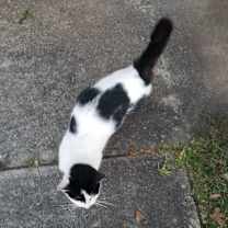 Thumbnail photo of Patsche "Pattie" #3