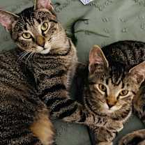 Thumbnail photo of Nina #1