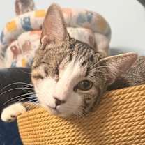 Thumbnail photo of Victor #1