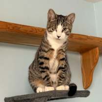 Thumbnail photo of Victor #2