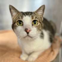 Thumbnail photo of Cadie #2