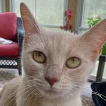 Thumbnail photo of Love Bug  #3