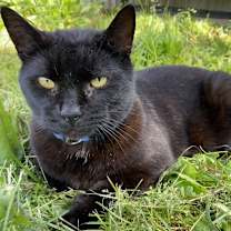 Thumbnail photo of Ben #2