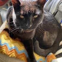 Thumbnail photo of Ben #3