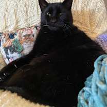 Thumbnail photo of Ben #4