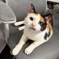 Thumbnail photo of Pamela #1