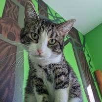 Thumbnail photo of Elijah #2