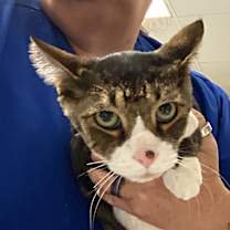 Thumbnail photo of Max #2