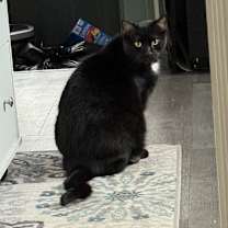 Thumbnail photo of Nick #1