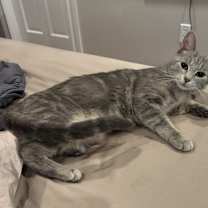 Thumbnail photo of Mako #4