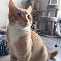 Thumbnail photo of Reggie #1