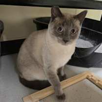 Thumbnail photo of Kory OF126 #2