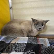 Thumbnail photo of Kay OF48 #1