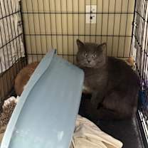 Thumbnail photo of Kyle OF70 #2