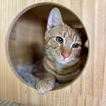 Thumbnail photo of Bentley Estep #1