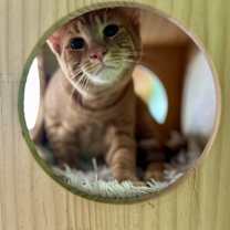 Thumbnail photo of Bentley Estep #2