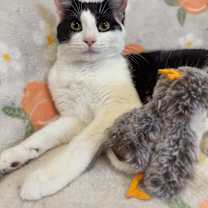 Thumbnail photo of FRIDA #1