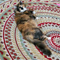 Thumbnail photo of Fergie #2