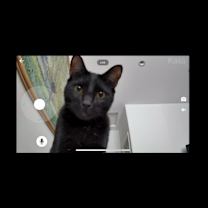 Thumbnail photo of Flynn Rider #1