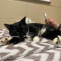 Thumbnail photo of Stuffing #4