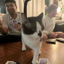 Thumbnail photo of Patchouli #3