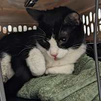 Thumbnail photo of Augustus Lebron #3